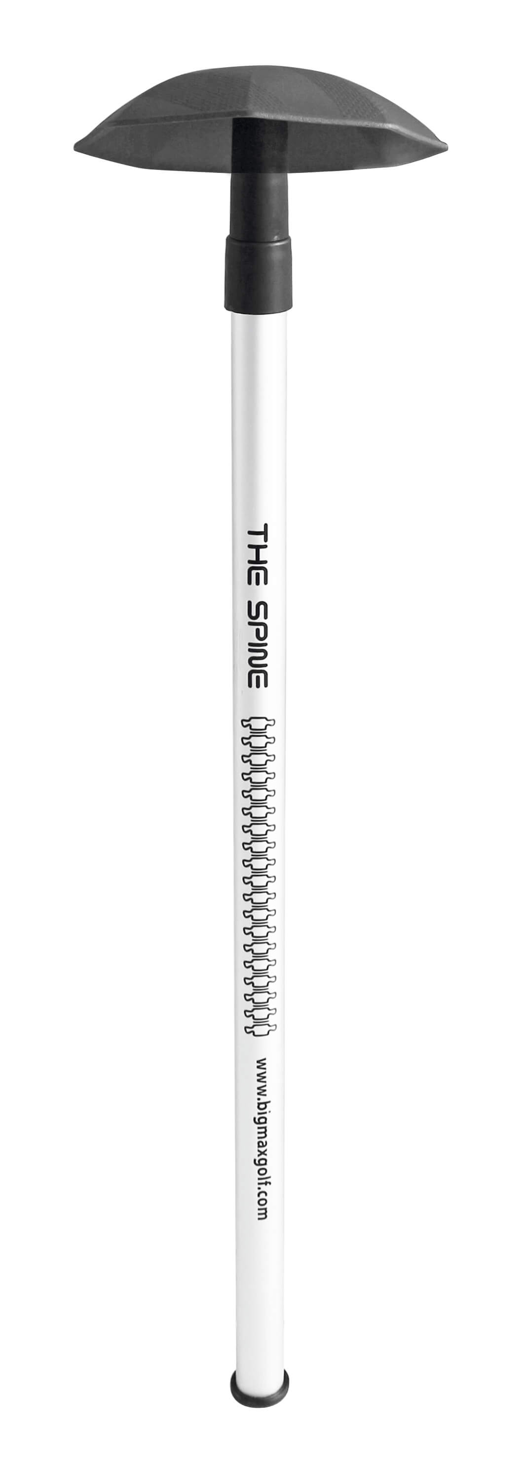 The Spine The Spine